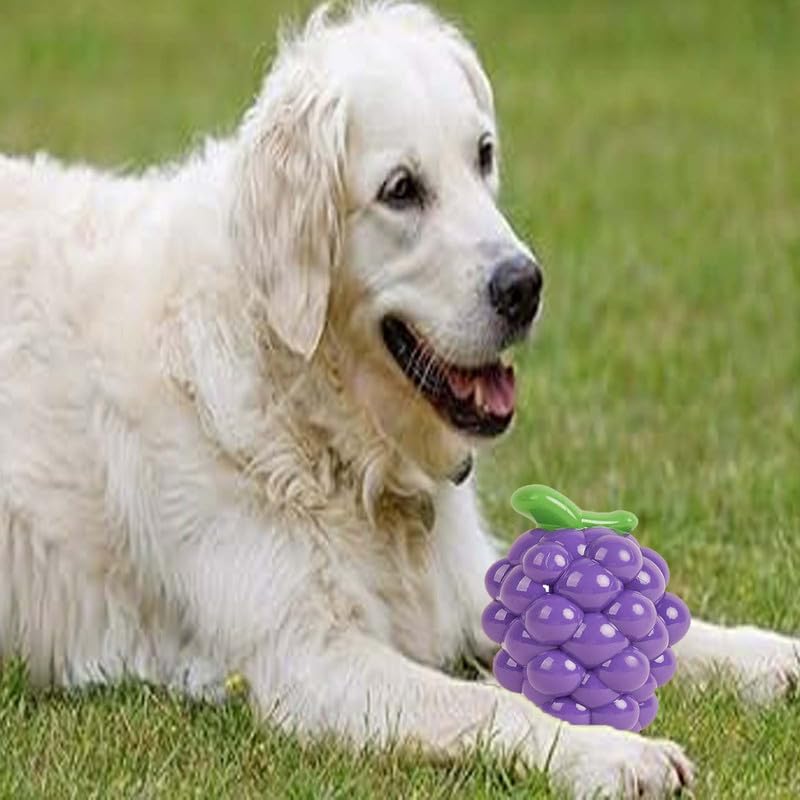Puppy Chew Toy Combo Set