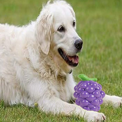 Puppy Chew Toy Combo Set