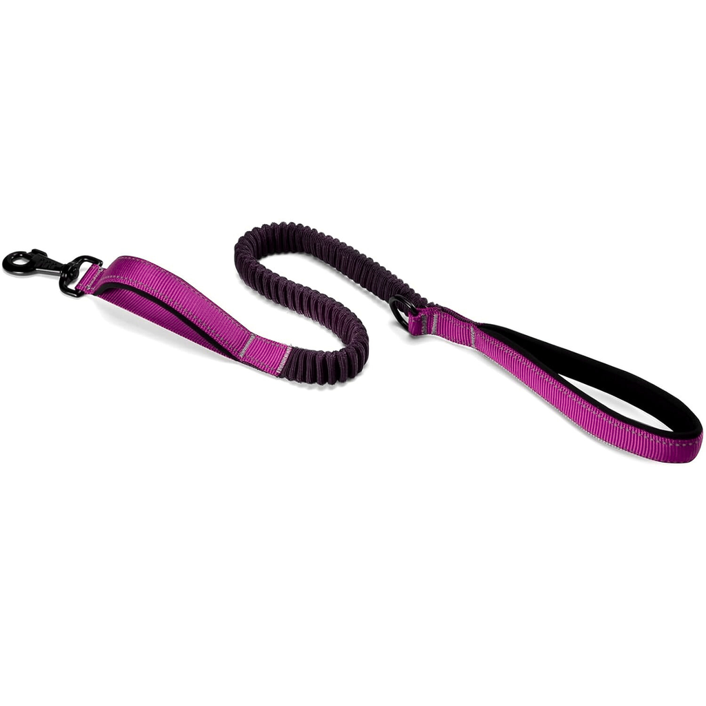 Dog Leash with Double Padded Handles