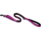 Dog Leash with Double Padded Handles