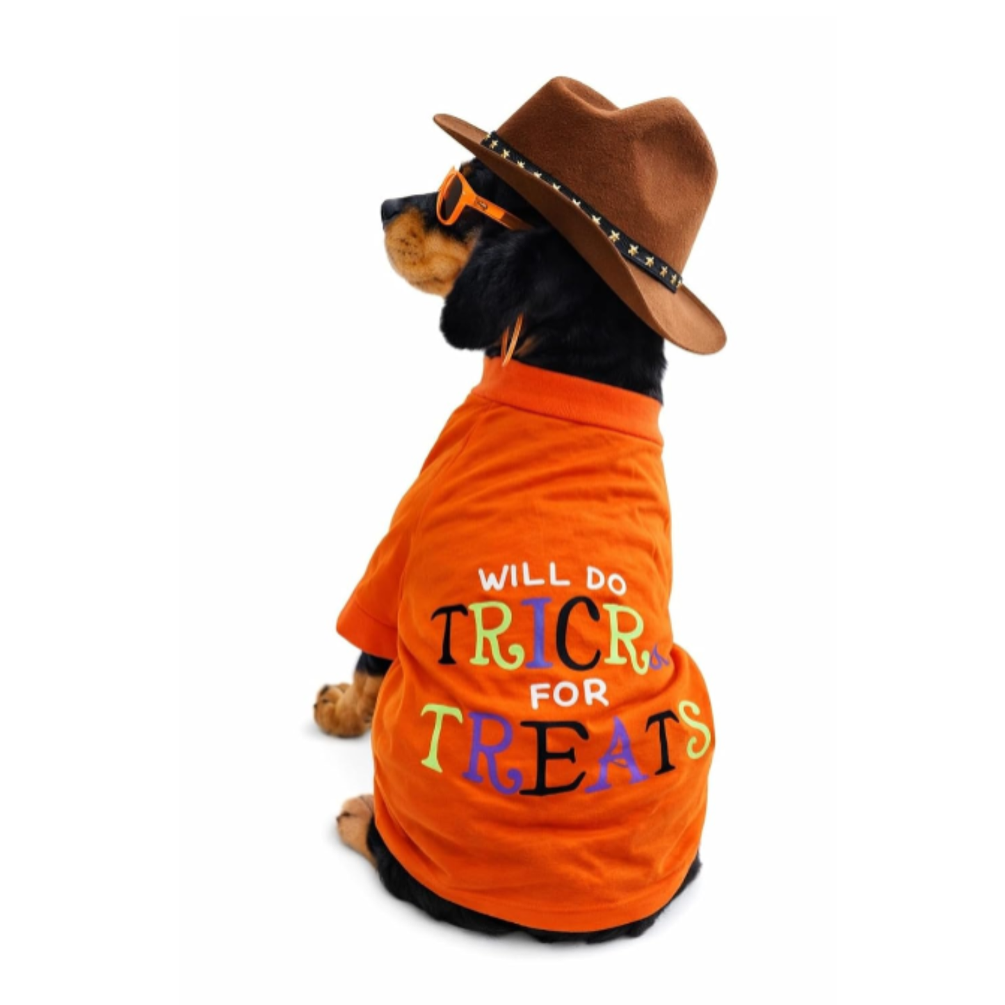 Dog T-Shirt Costume “Will Do Trick for Treats”